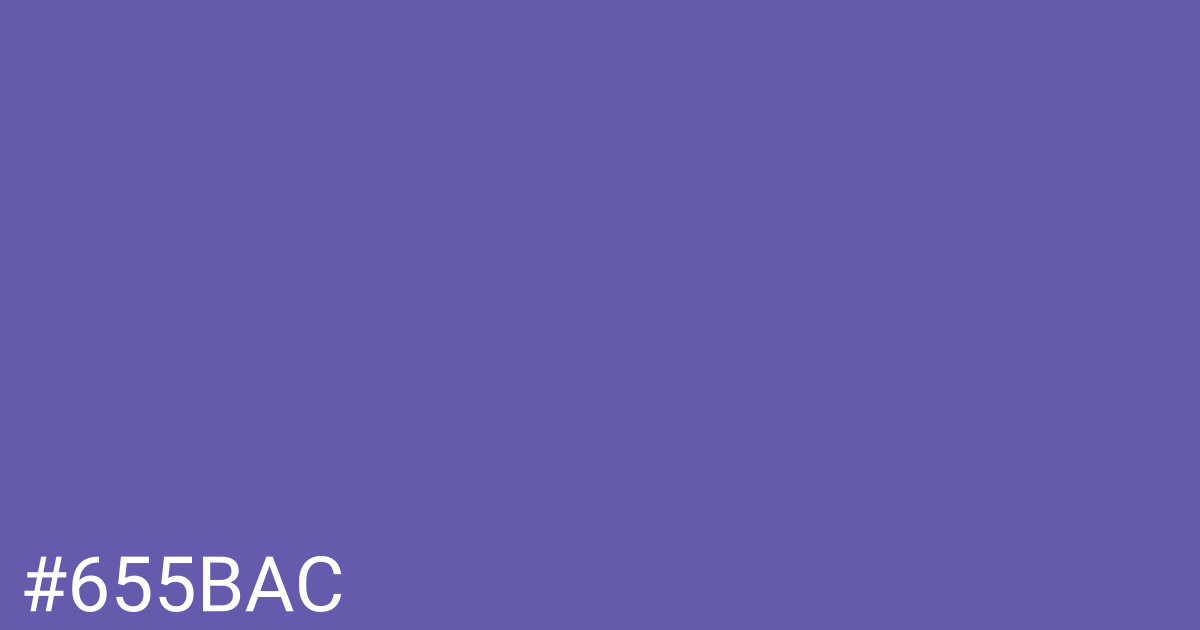 Hex color #655bac graphic