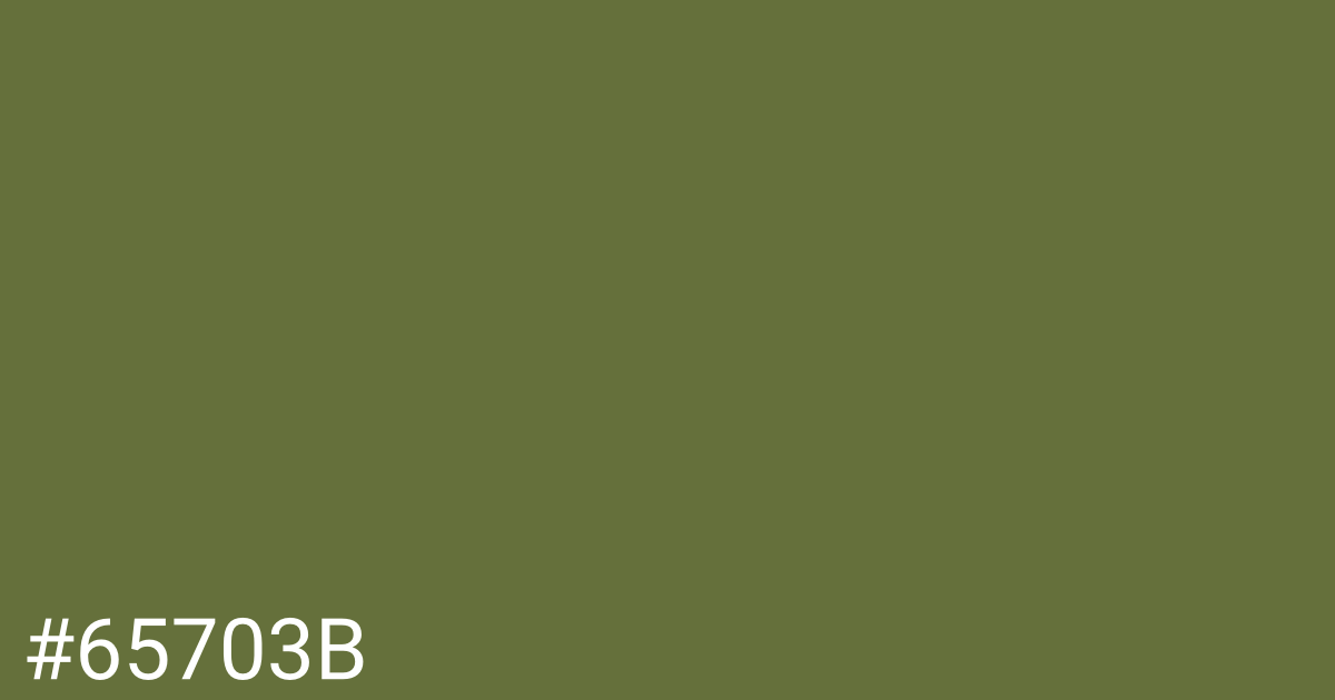 Hex color #65703b graphic