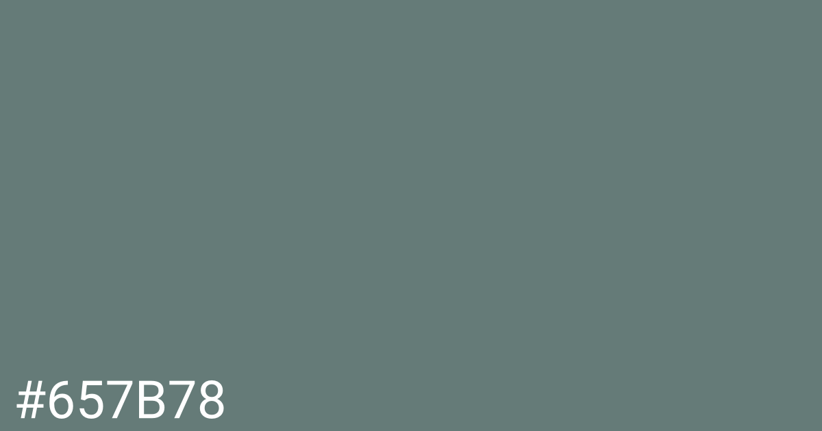 Hex color #657b78 graphic