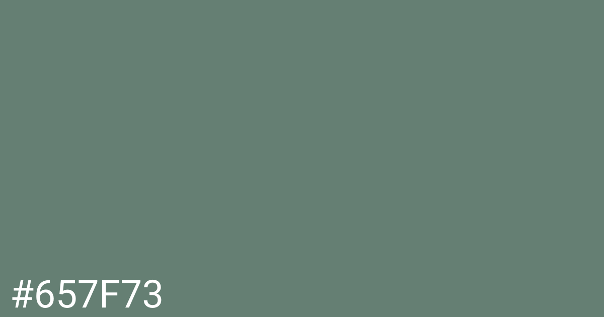 Hex color #657f73 graphic