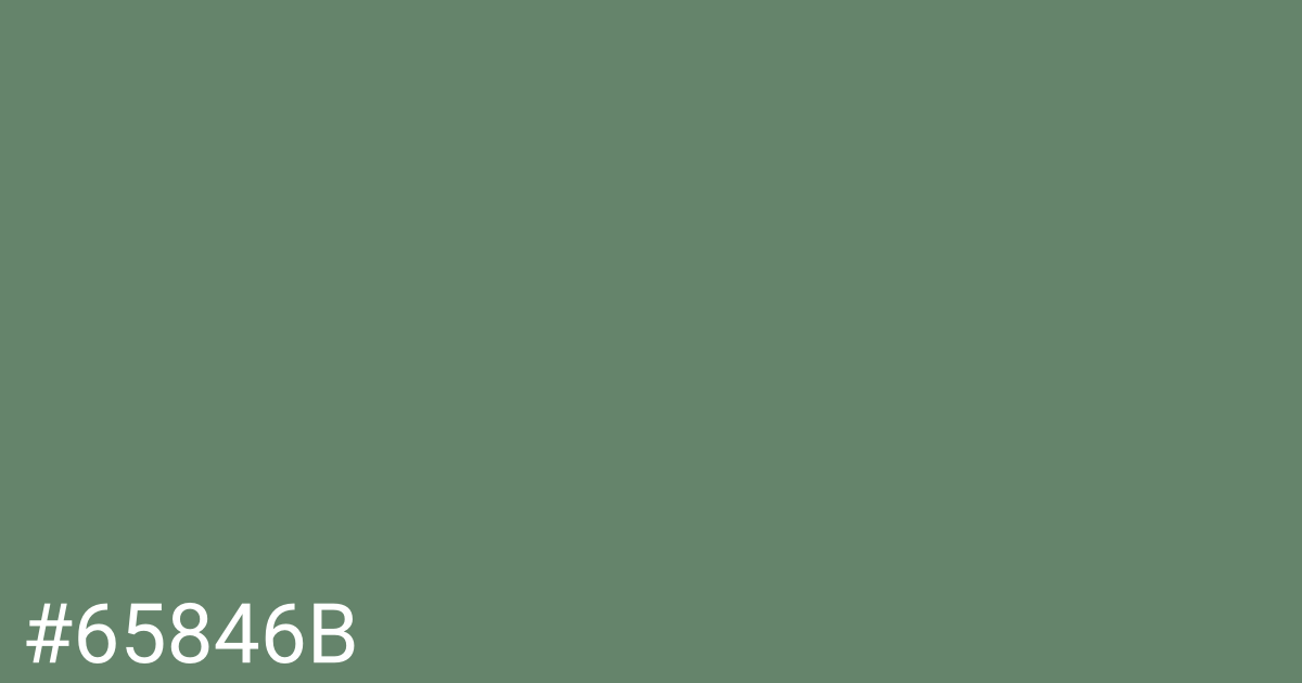 Hex color #65846b graphic