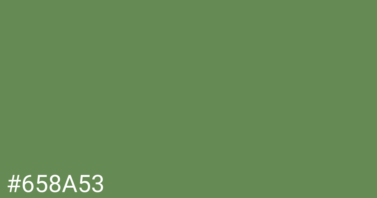 Hex color #658a53 graphic