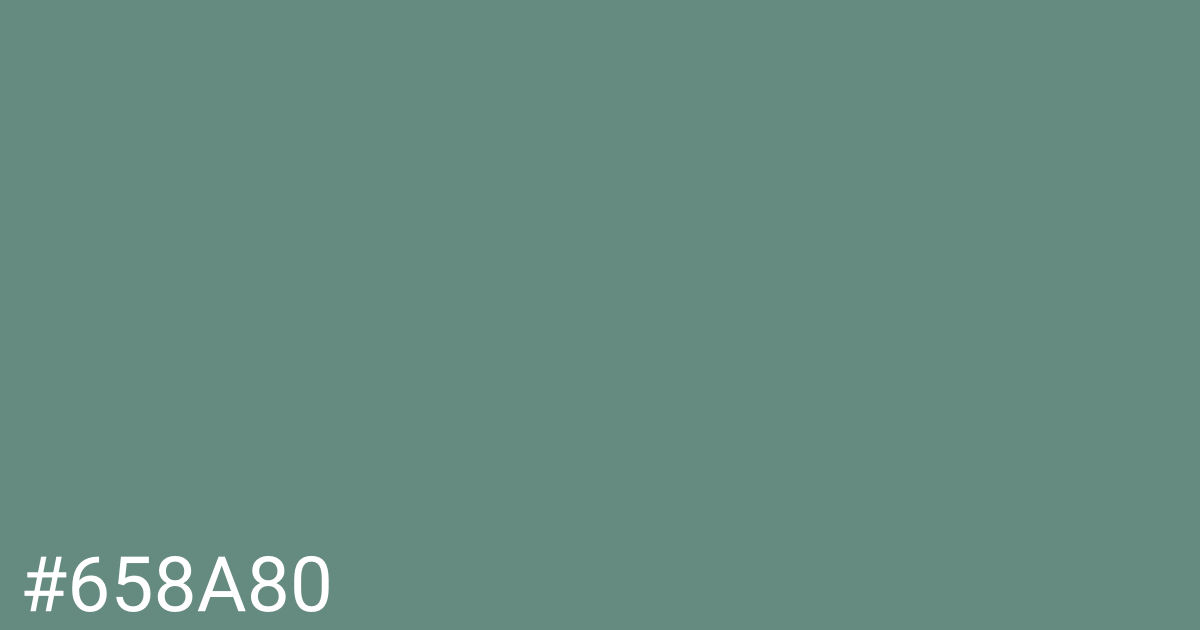 Hex color #658a80 graphic