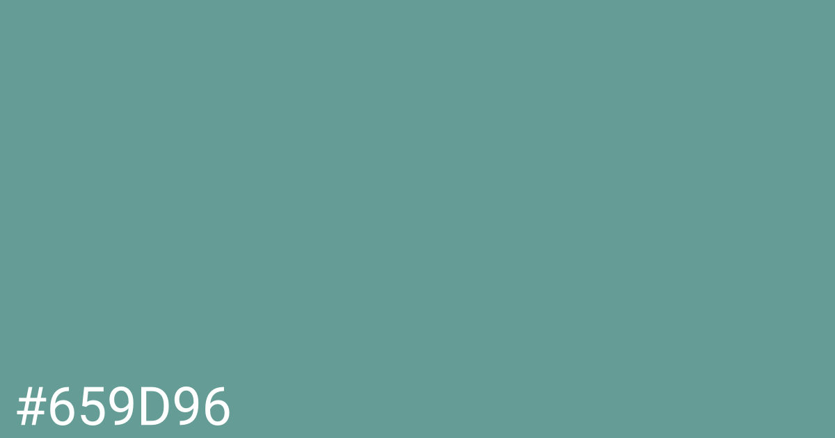 Hex color #659d96 graphic