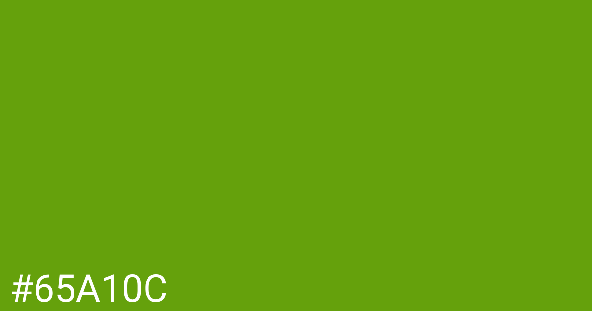 Hex color #65a10c graphic