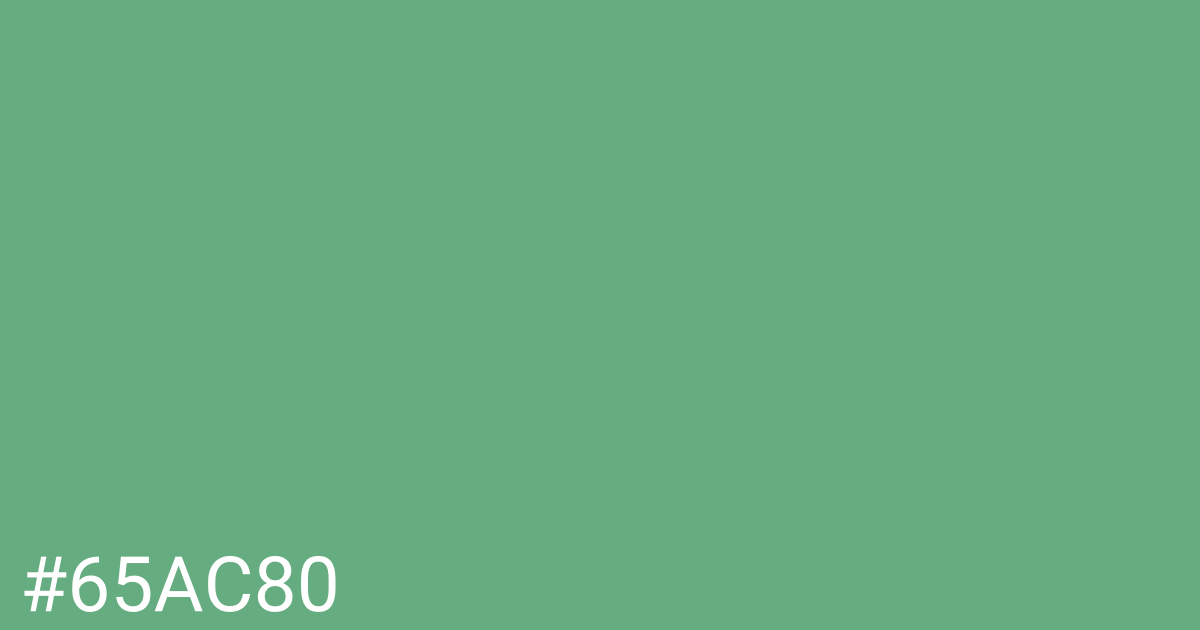 Hex color #65ac80 graphic