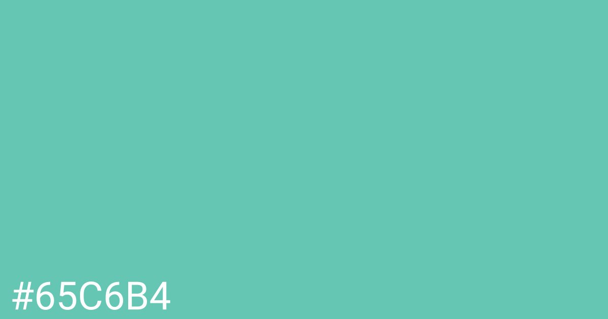 Hex color #65c6b4 graphic