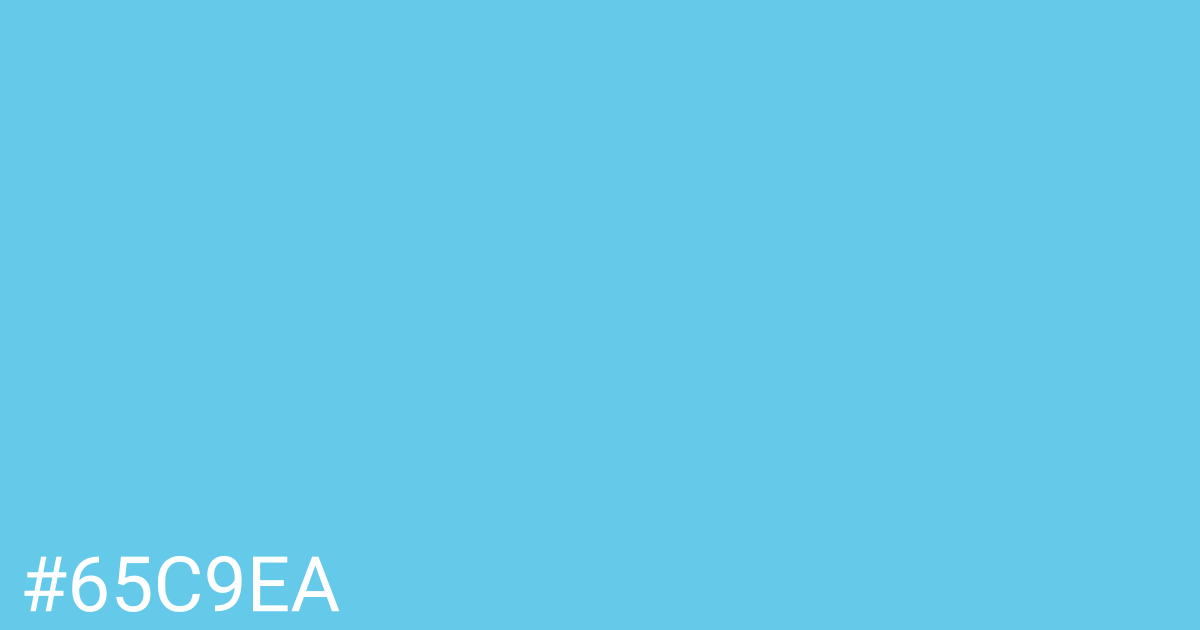 Hex color #65c9ea graphic