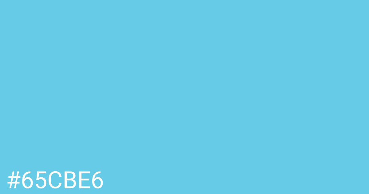 Hex color #65cbe6 graphic