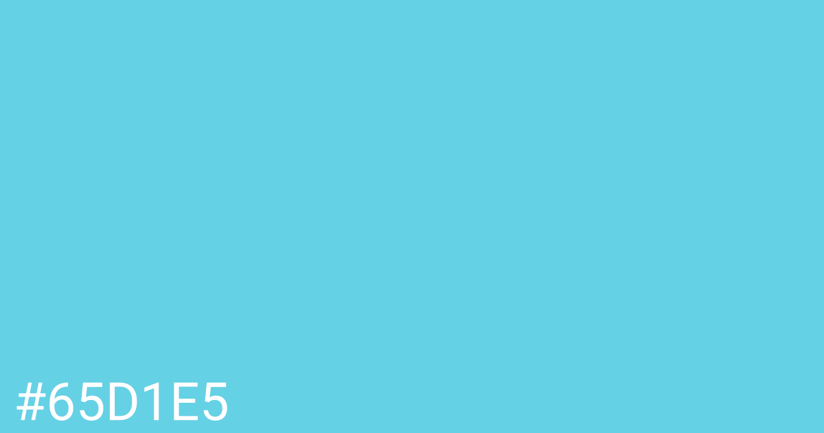 Hex color #65d1e5 graphic