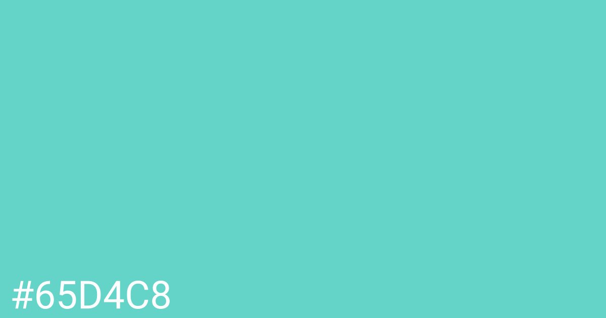 Hex color #65d4c8 graphic
