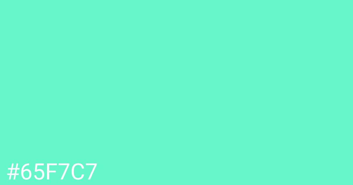 Hex color #65f7c7 graphic