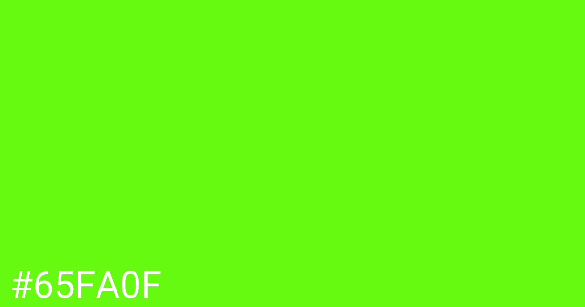 Hex color #65fa0f graphic