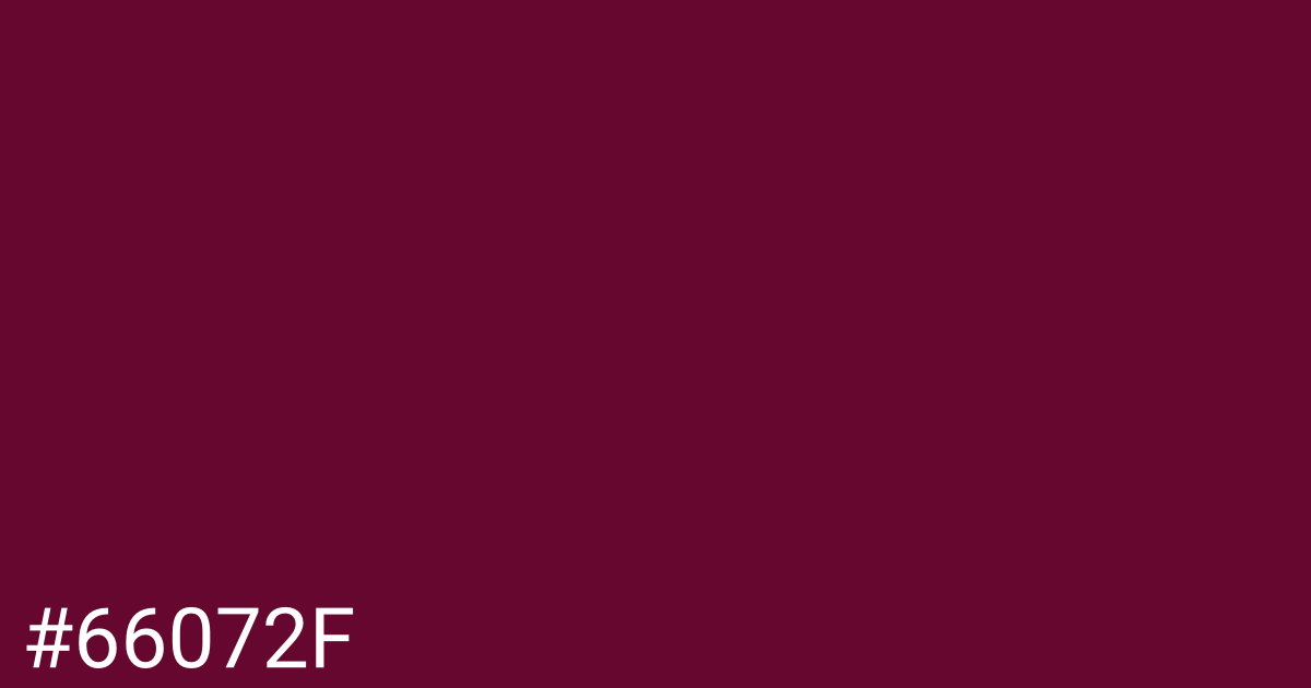 Hex color #66072f graphic