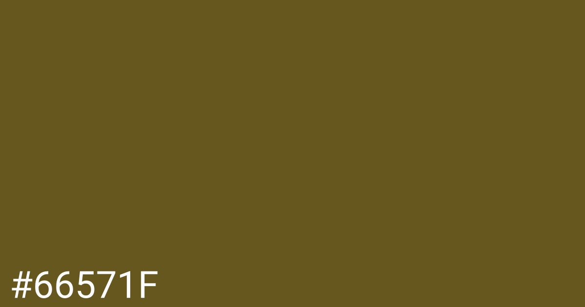 Hex color #66571f graphic