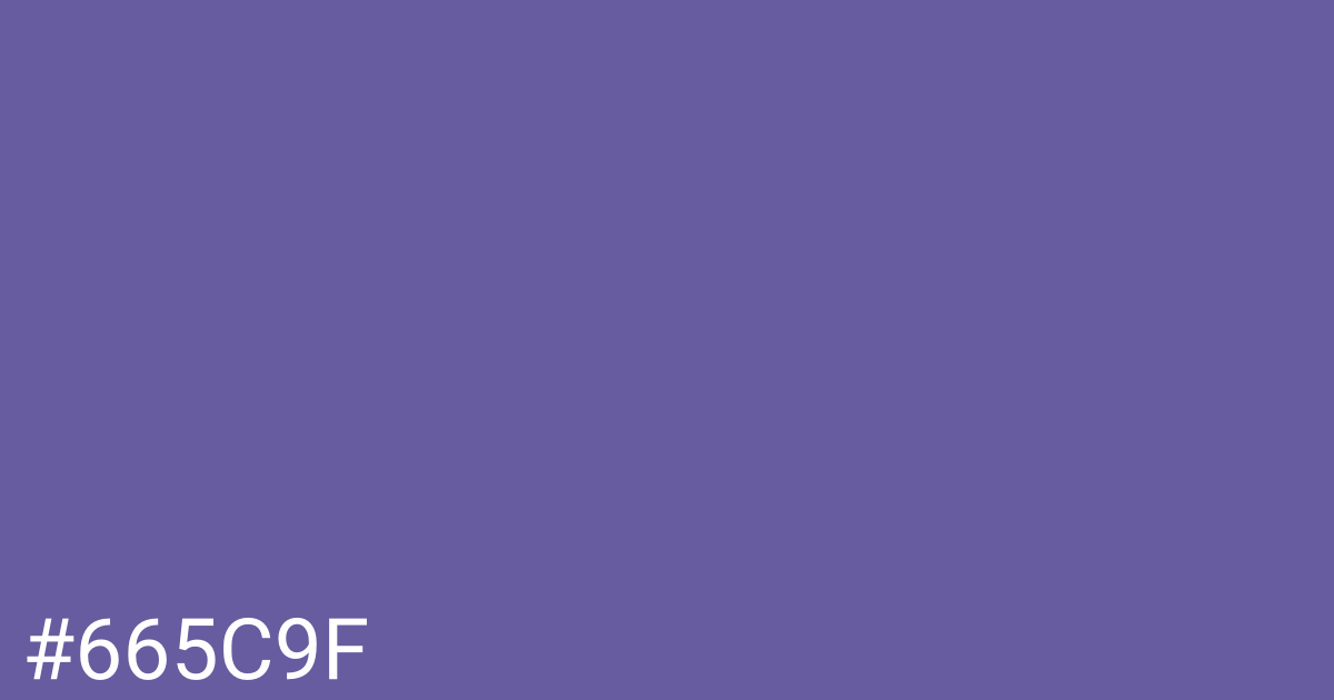 Hex color #665c9f graphic