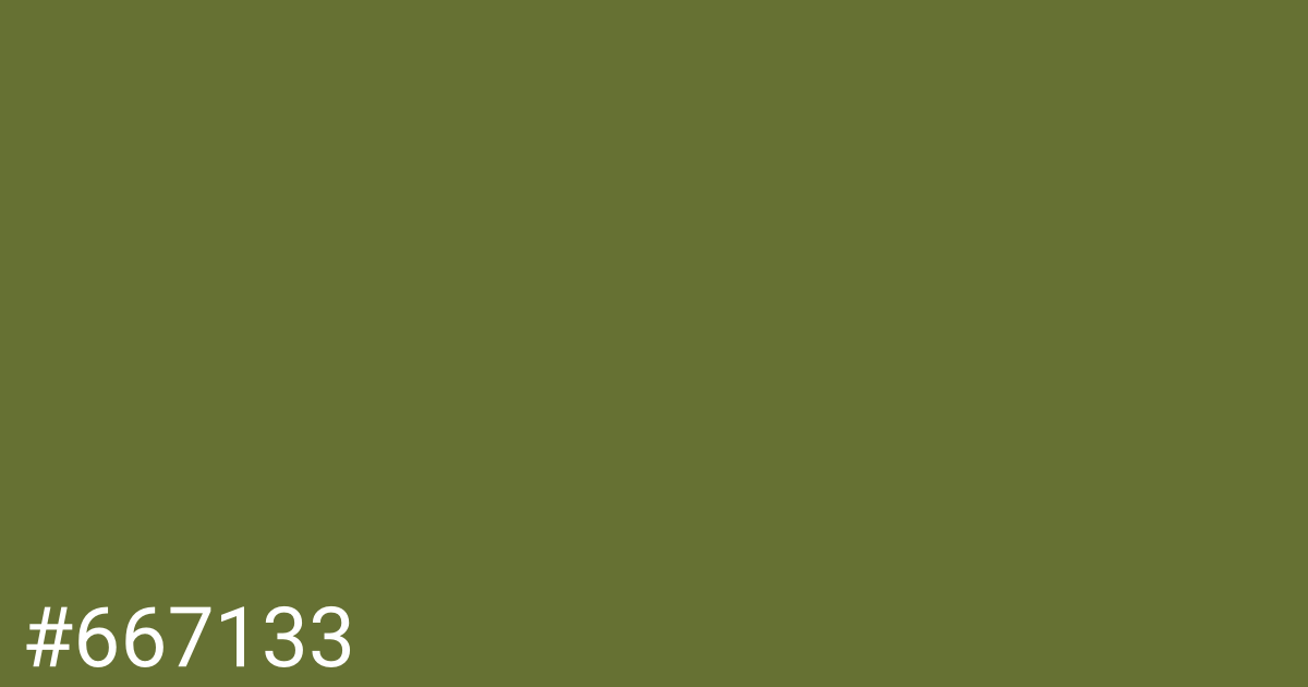 Hex color #667133 graphic