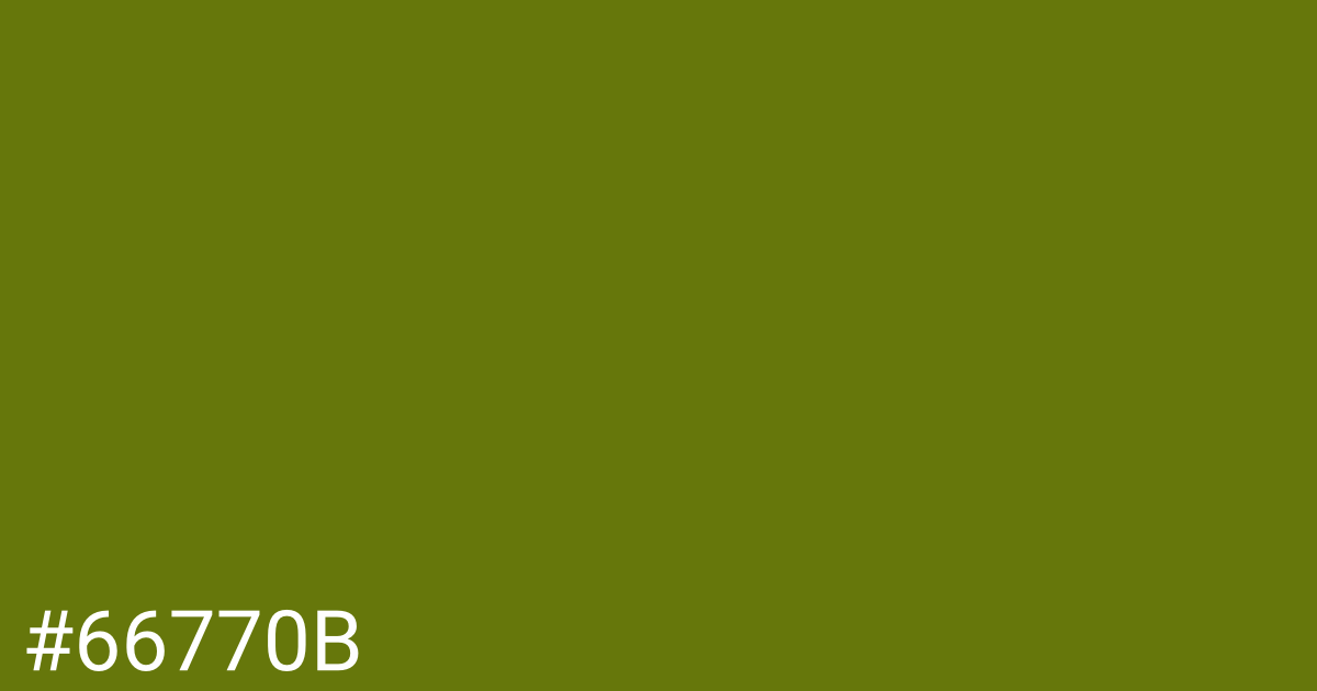 Hex color #66770b graphic