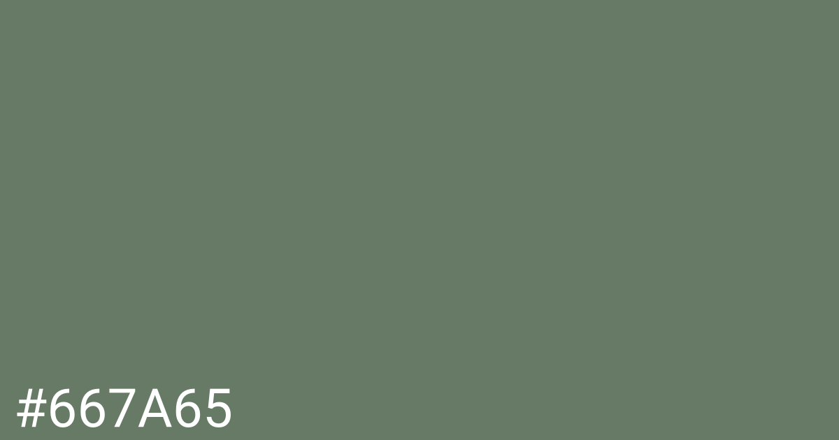 Hex color #667a65 graphic