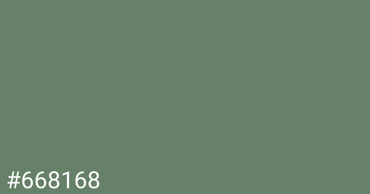 Hex color #668168 graphic