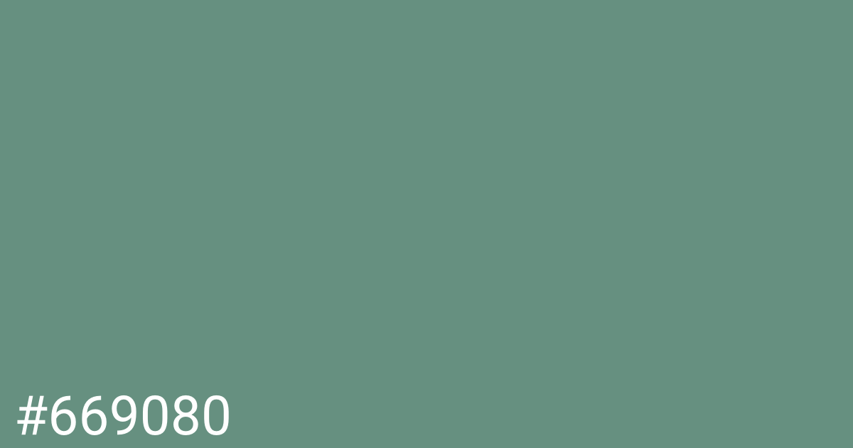 Hex color #669080 graphic