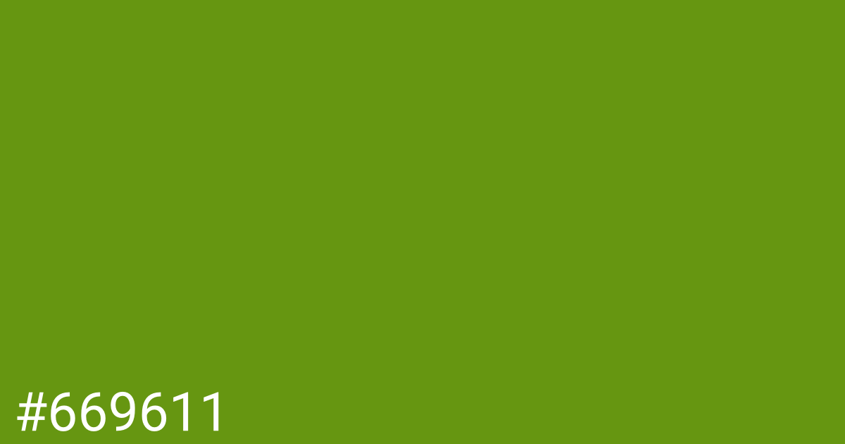 Hex color #669611 graphic