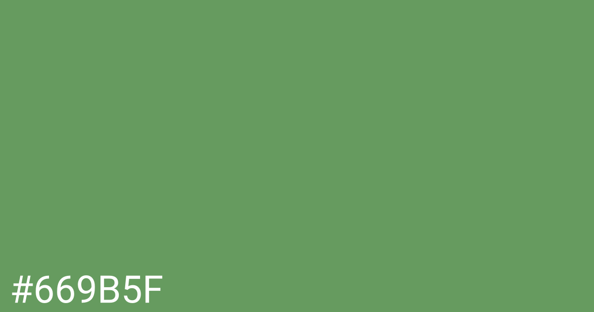 Hex color #669b5f graphic