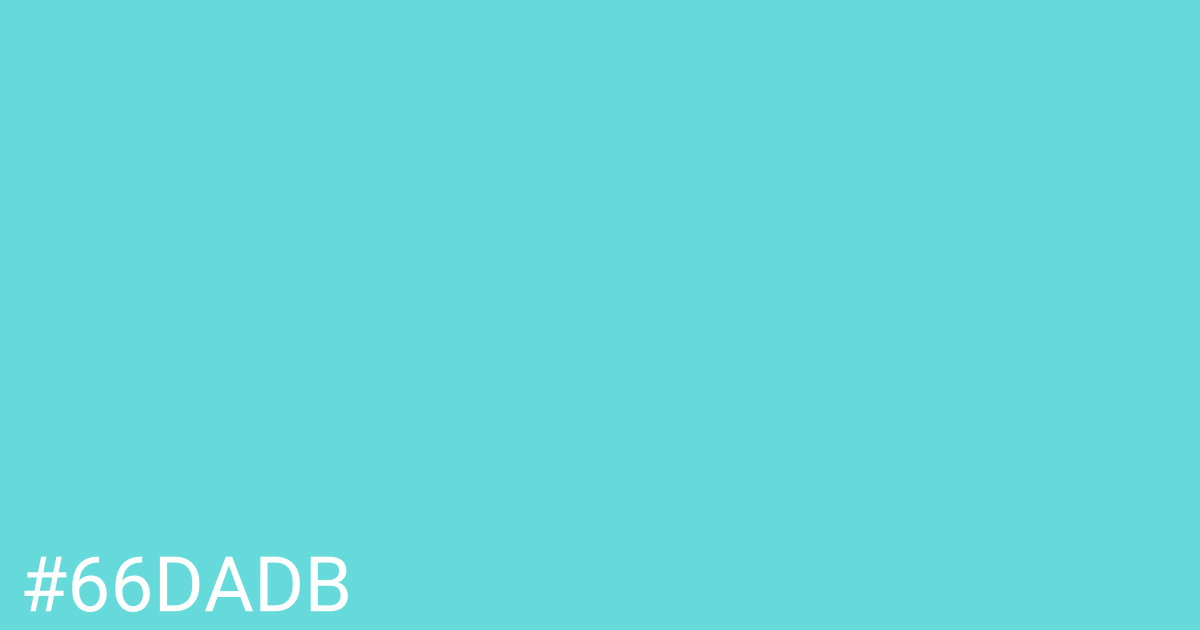Hex color #66dadb graphic