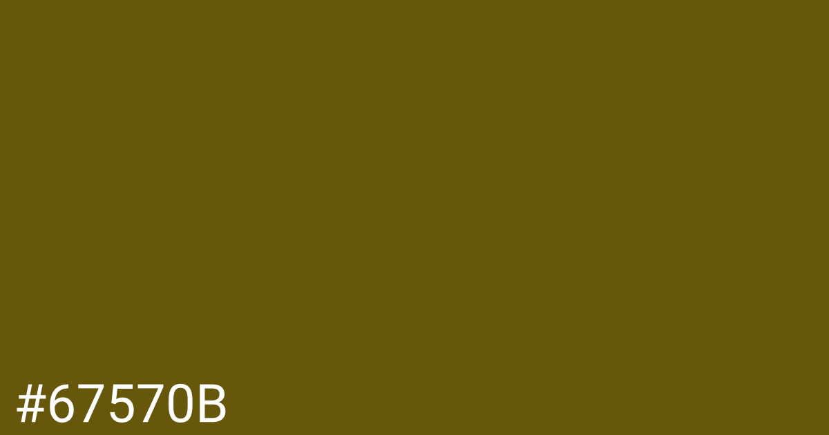 Hex color #67570b graphic