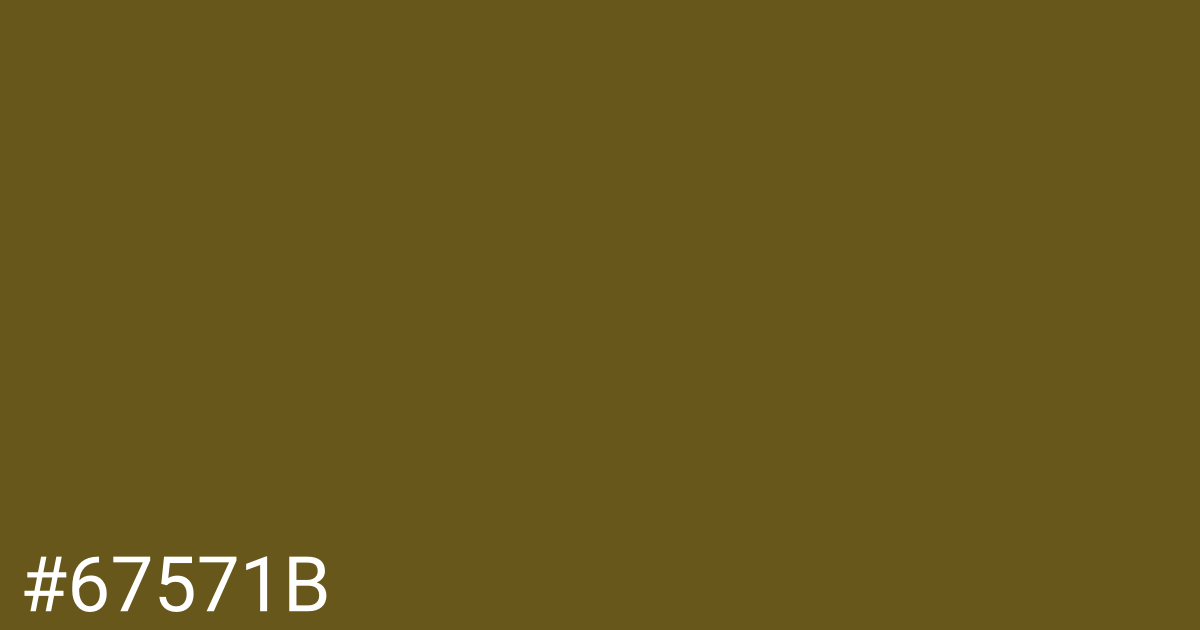 Hex color #67571b graphic