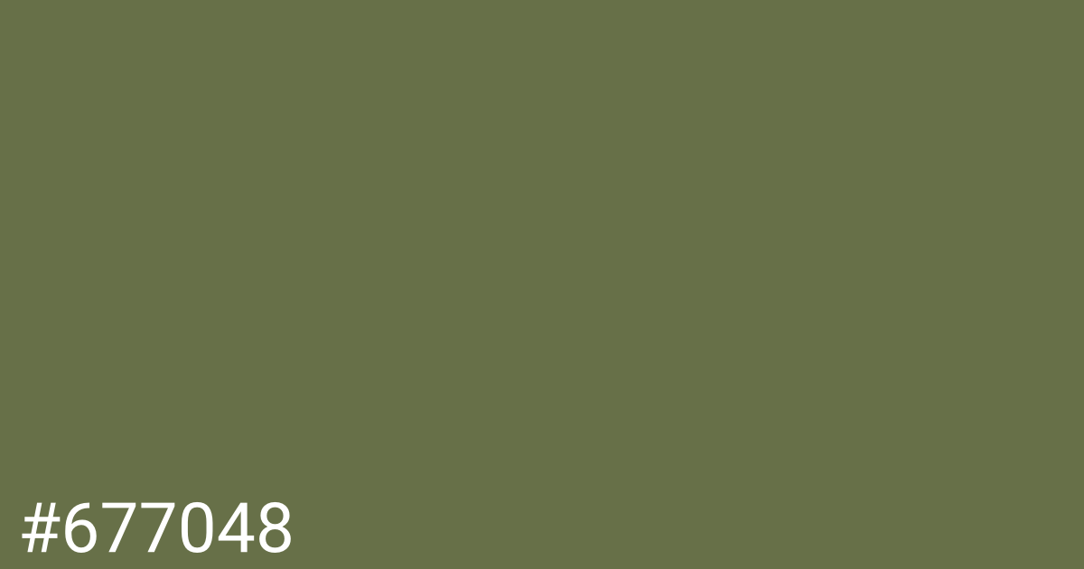 Hex color #677048 graphic