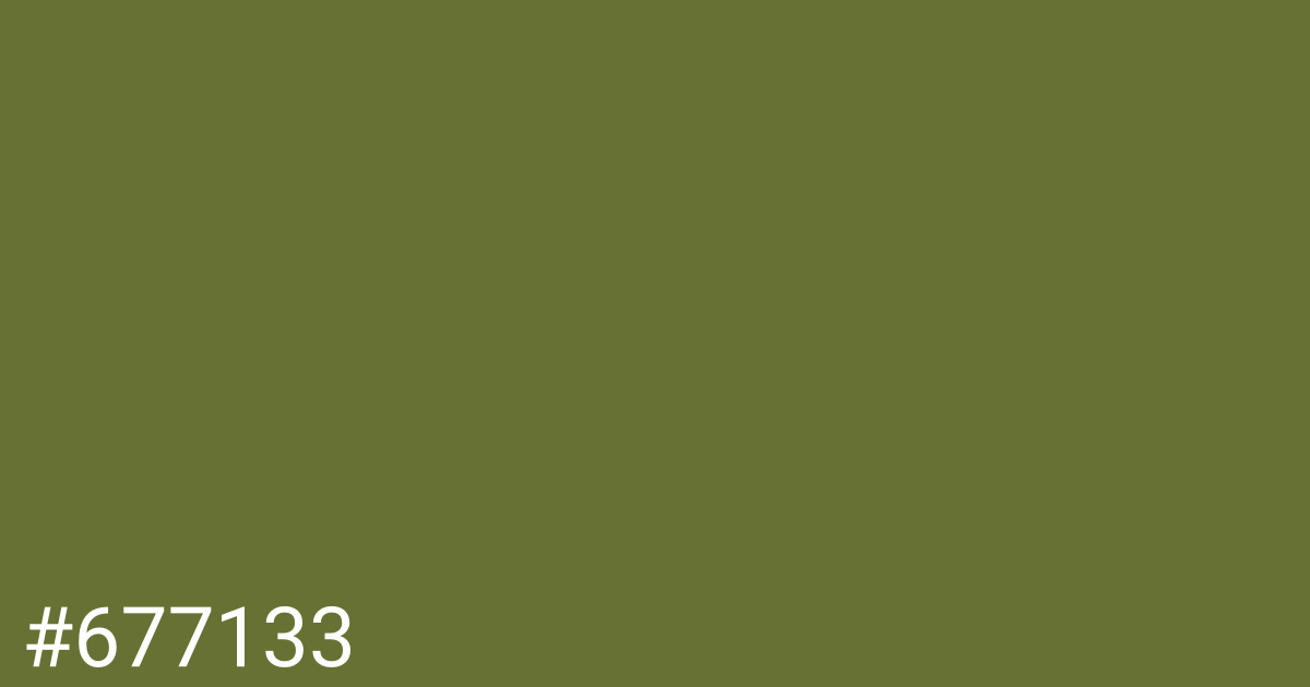 Hex color #677133 graphic