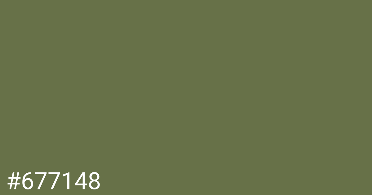 Hex color #677148 graphic