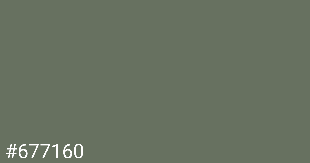 Hex color #677160 graphic