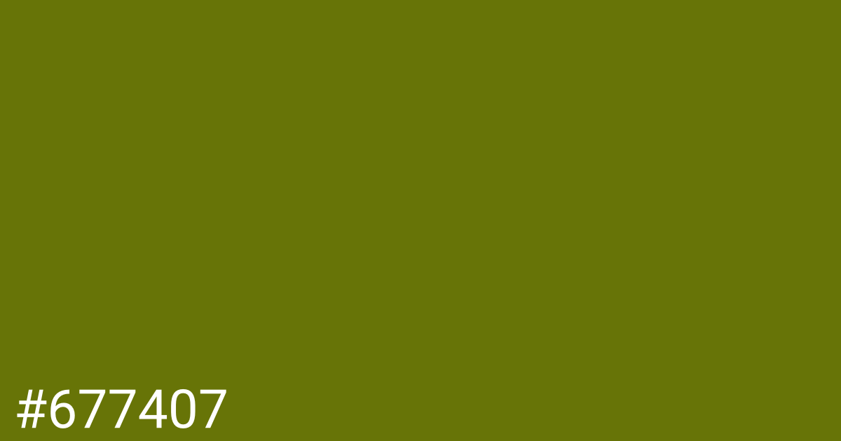 Hex color #677407 graphic