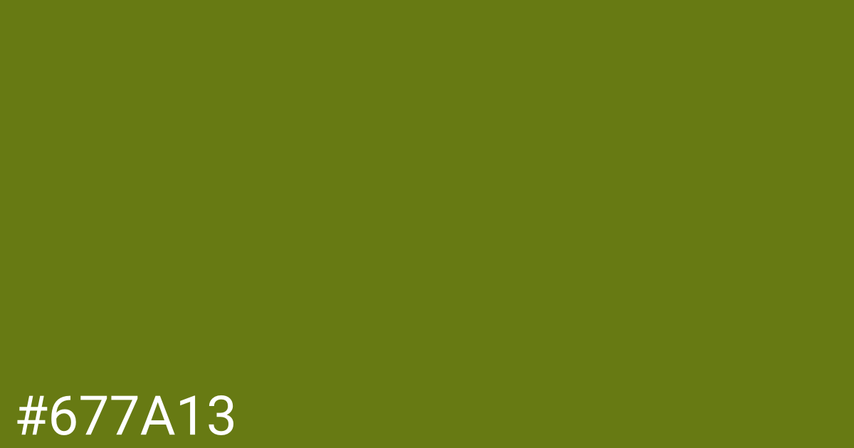 Hex color #677a13 graphic