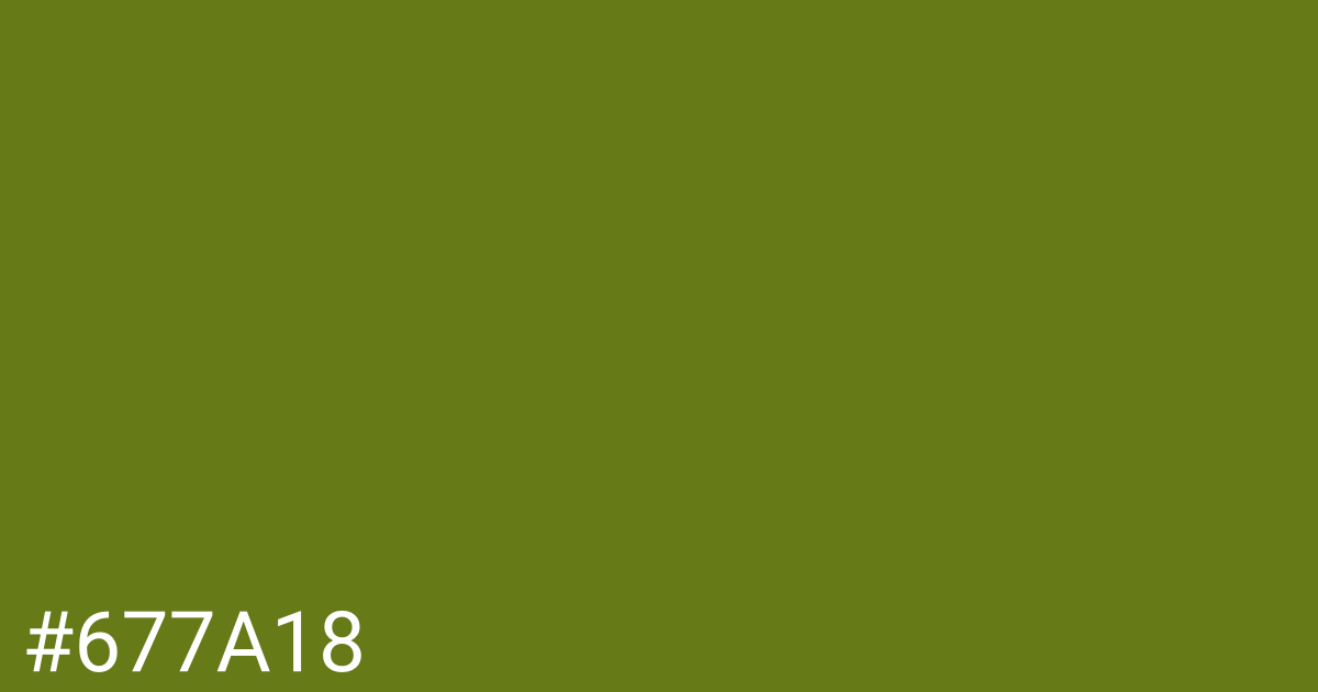 Hex color #677a18 graphic