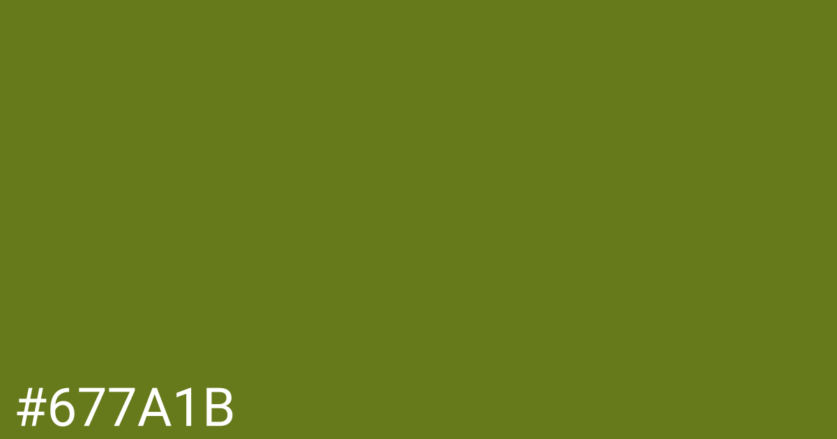 Hex color #677a1b graphic