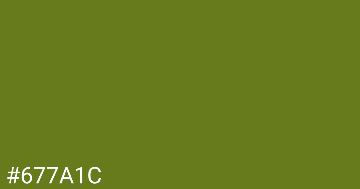 Hex color #677a1c graphic