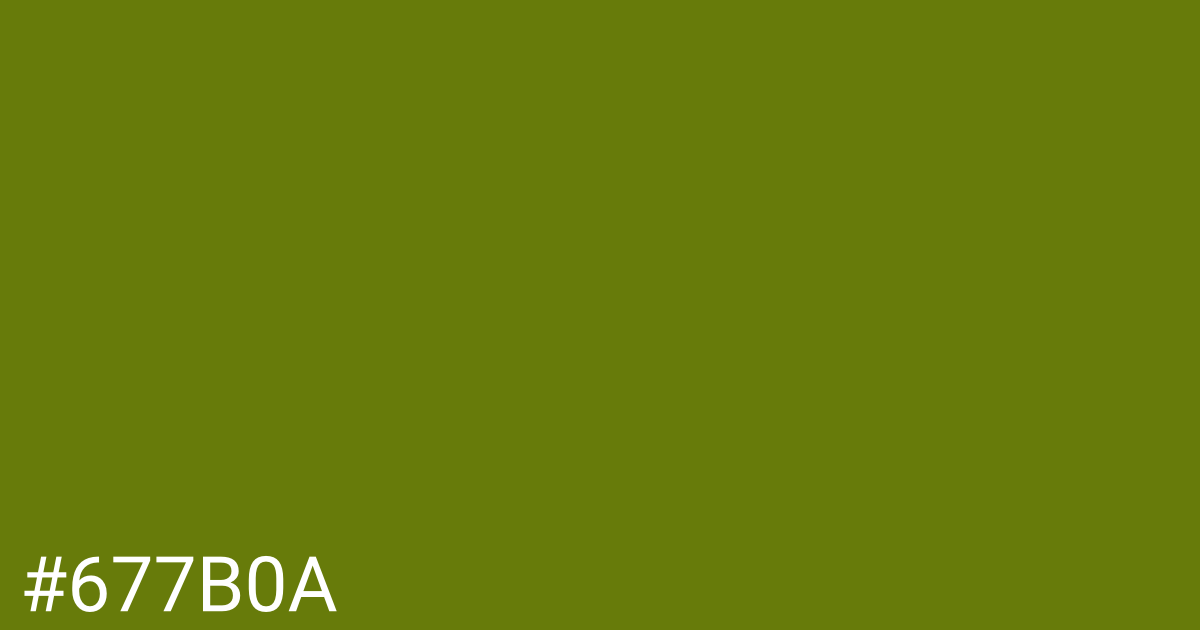Hex color #677b0a graphic