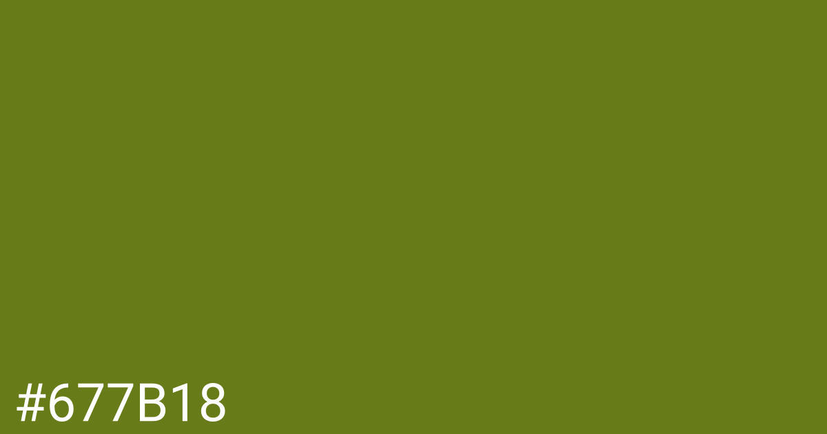 Hex color #677b18 graphic