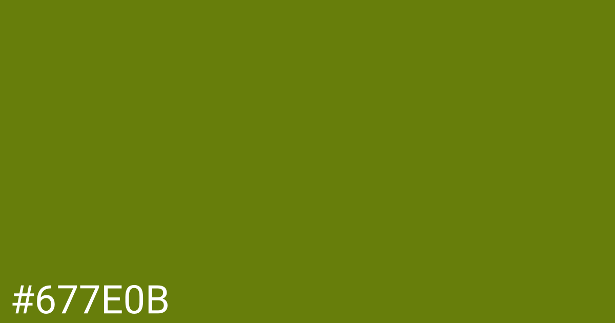 Hex color #677e0b graphic