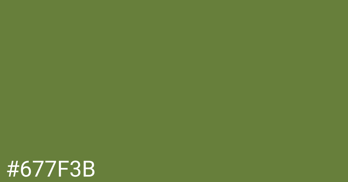 Hex color #677f3b graphic