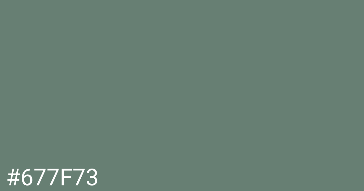 Hex color #677f73 graphic