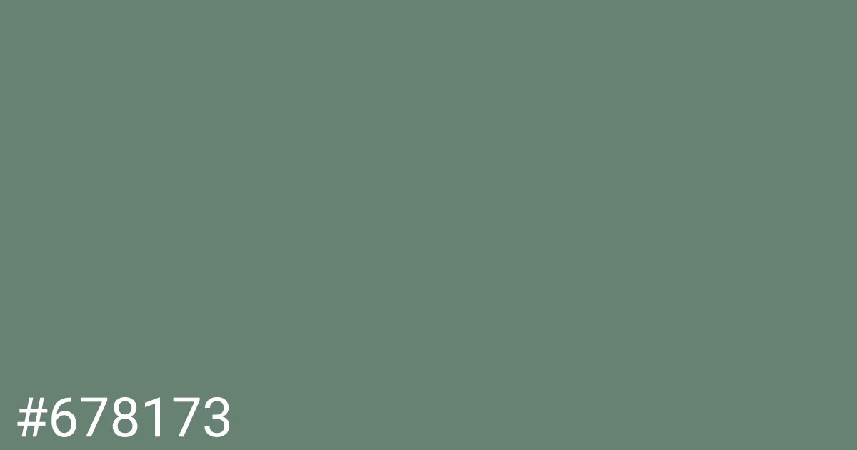 Hex color #678173 graphic