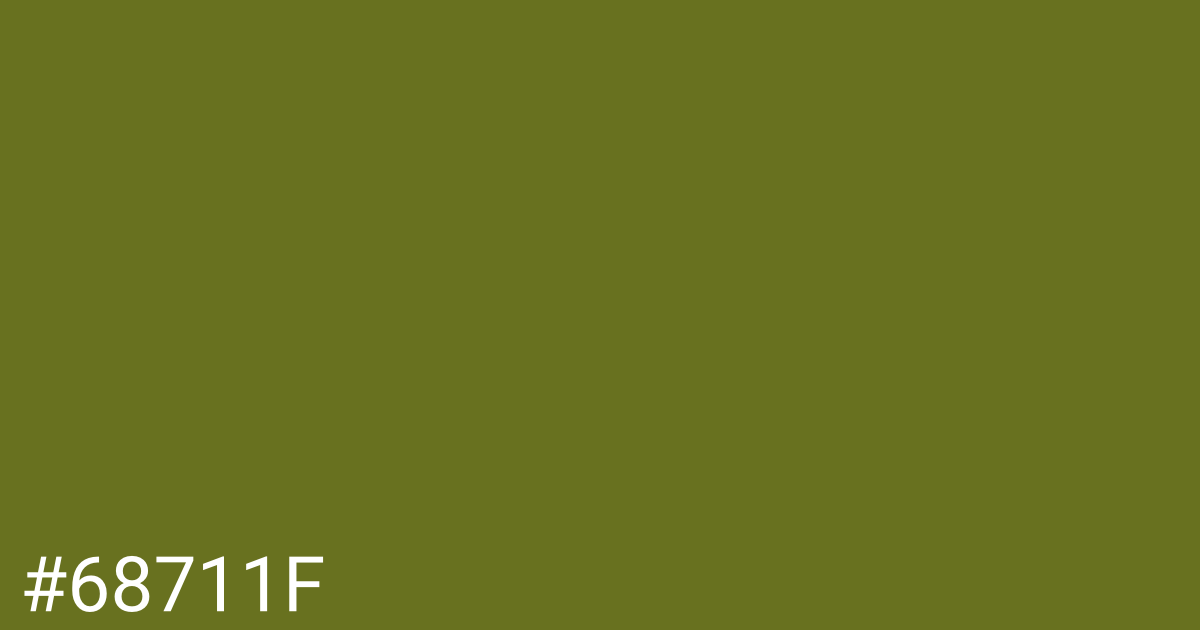 Hex color #68711f graphic