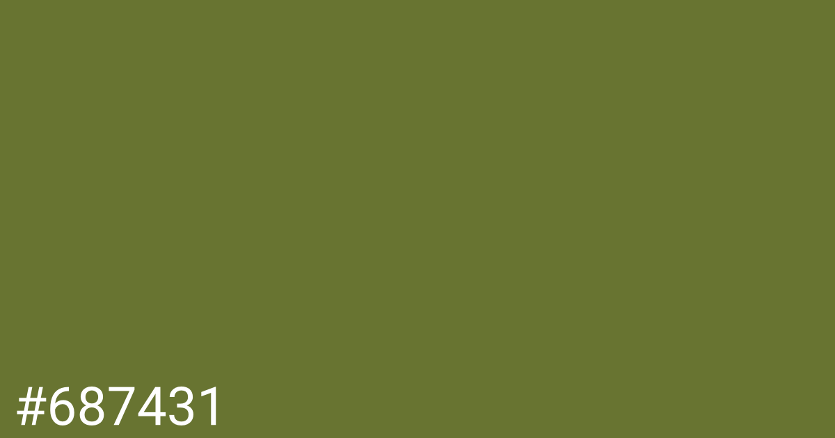 Hex color #687431 graphic