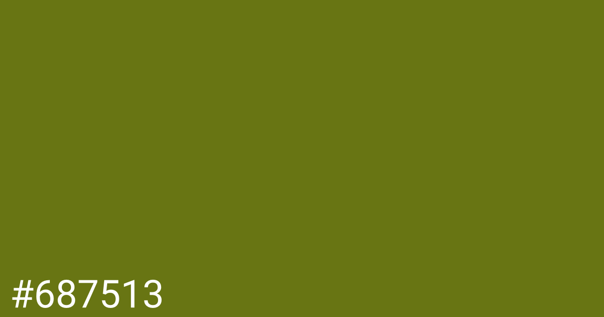 Hex color #687513 graphic
