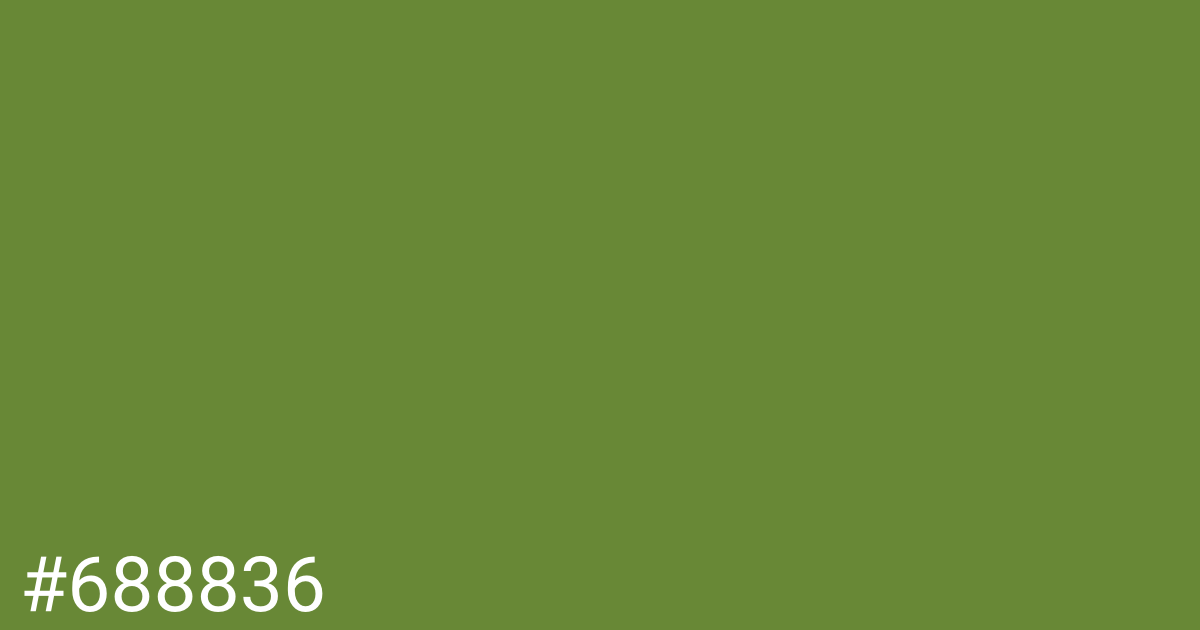 Hex color #688836 graphic