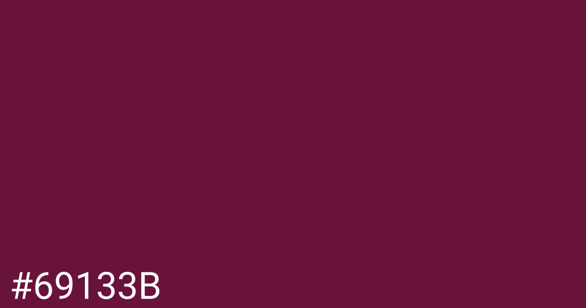 Hex color #69133b graphic